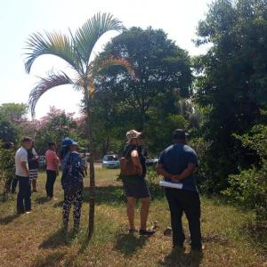 Imagem da notícia MAIS DE 30 PESSOAS PARTICIPAM DO CURSO DE PODADOR DE ÁRVORE