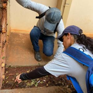 Imagem da notícia AGENTES DE COMBATE ÀS ENDEMIAS VISITAM ESCOLAS