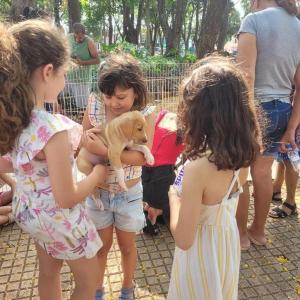 Imagem da notícia FILHOTES CONSEGUEM LAR COM CAMPANHA DE ADOÇÃO ANIMAL