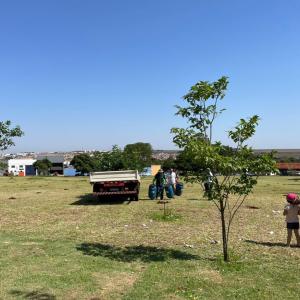Imagem da notícia JARDIM ALVORADA GANHA 300 MUDAS DE ÁRVORES