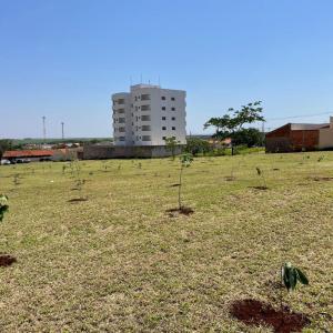 Imagem da notícia JARDIM ALVORADA GANHA 300 MUDAS DE ÁRVORES