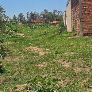 Imagem da notícia ÁREA DO RESIDENCIAL PEDRO JULIAN PASSA POR LIMPEZA