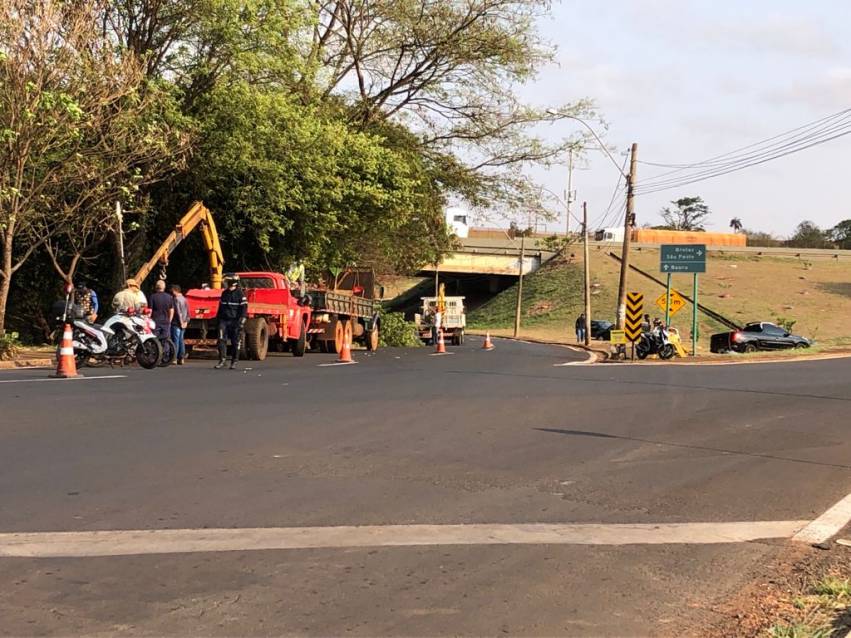 MOBILIDADE URBANA E CONCESSIONÁRIA ELEVAM COPAS DE ÁRVORES