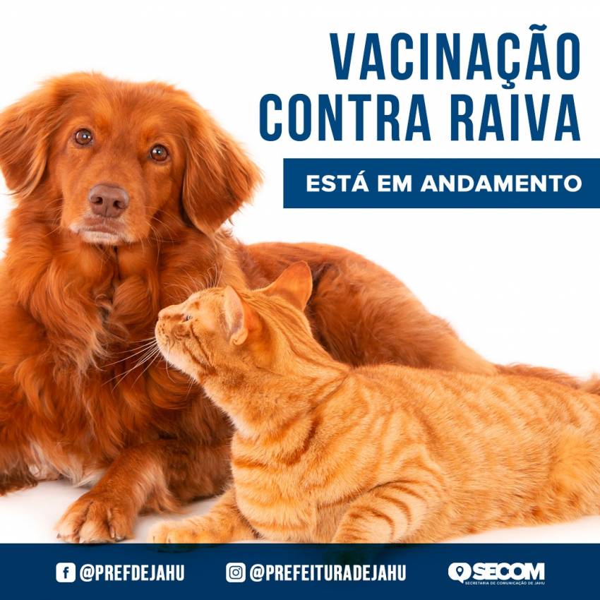VACINAÇÃO CONTRA RAIVA ESTÁ EM ANDAMENTO
