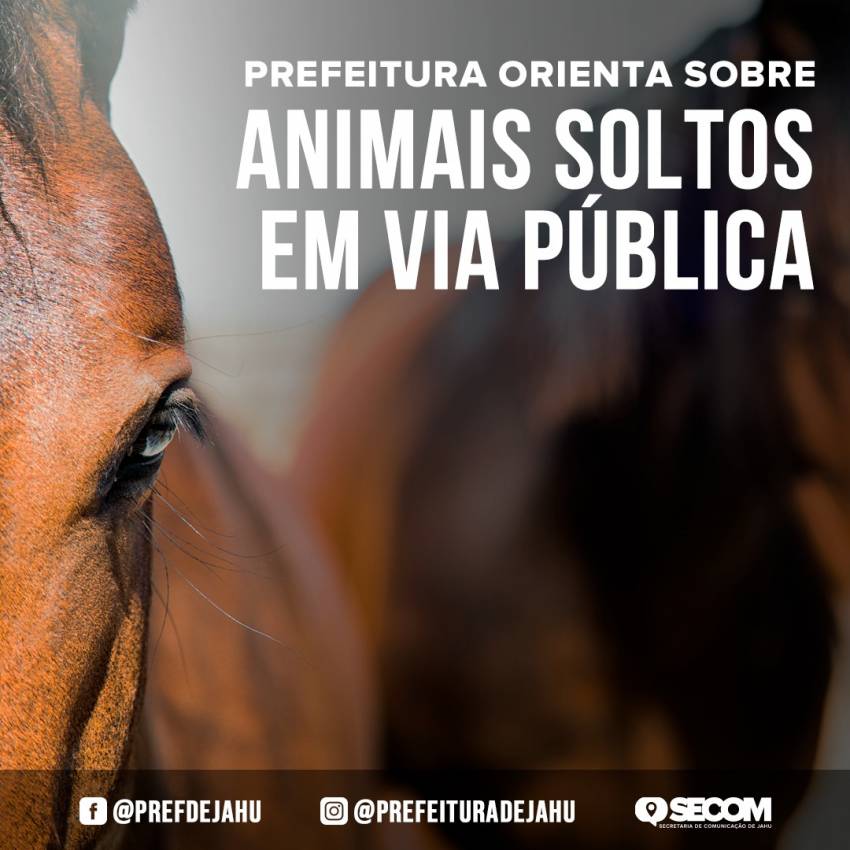 PREFEITURA ORIENTA SOBRE ANIMAIS SOLTOS EM VIA PÚBLICA