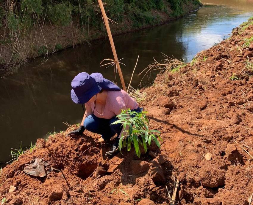 ÁREA NO JOÃO BALLAN II GANHA 120 MUDAS DE ÁRVORES