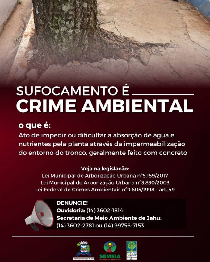 SUFOCAMENTO DE ÁRVORE É CRIME AMBIENTAL