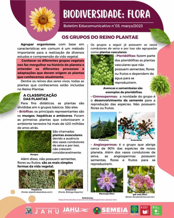 CONHECENDO OS GRUPOS DE PLANTAS