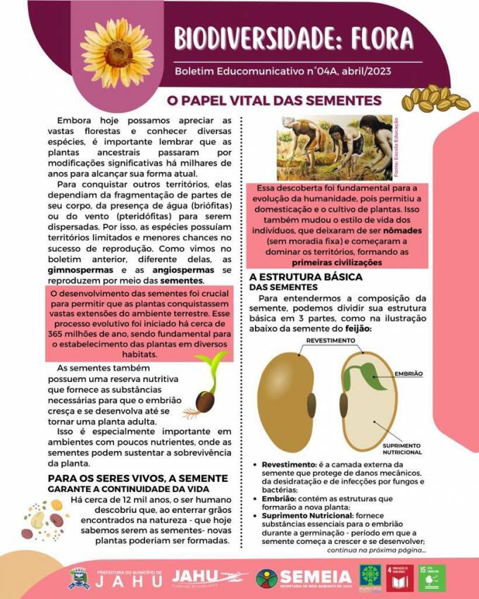 O PAPEL VITAL DAS SEMENTES