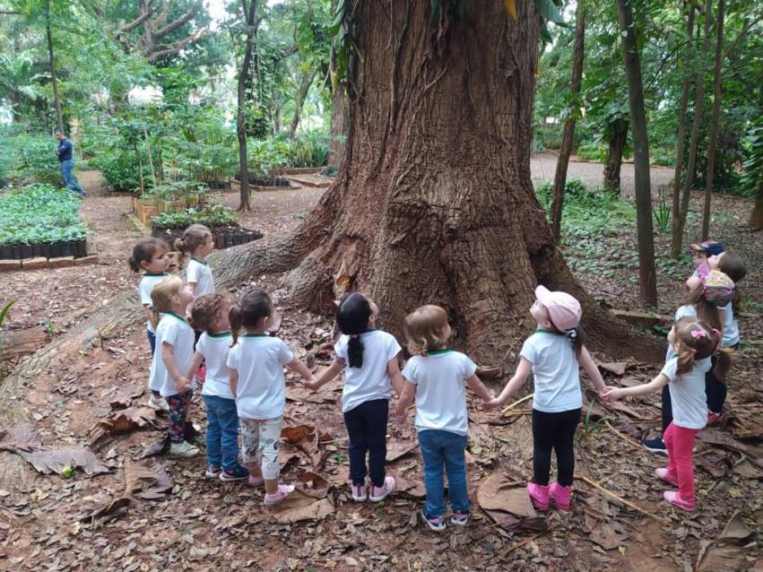CRIANÇAS DA EDUCAÇÃO INFANTIL VISITAM O HORTO