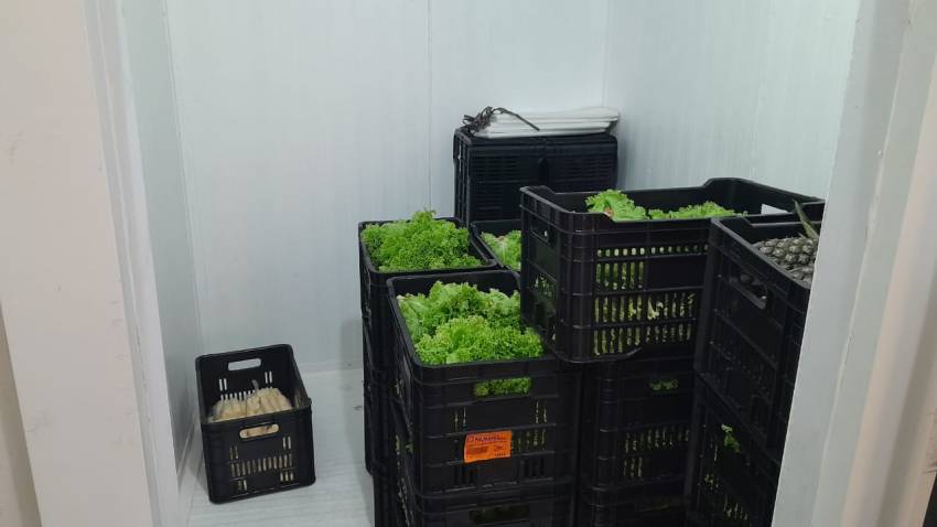 PRODUTOS DA AGRICULTURA FAMILIAR PRESENTES NA ALIMENTAÇÃO DE NOSSOS ESTUDANTES