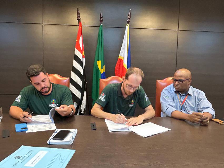 'ARBORIZAÇÃO + SEGURA' - SUBSTITUIÇÃO DE ÁRVORES COMEÇA EM JULHO