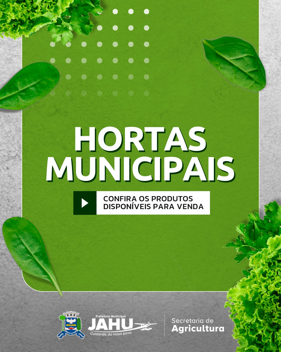 HORTAS MUNICIPAIS: VENDA DE PRODUTOS NESTA QUINTA (05/06)