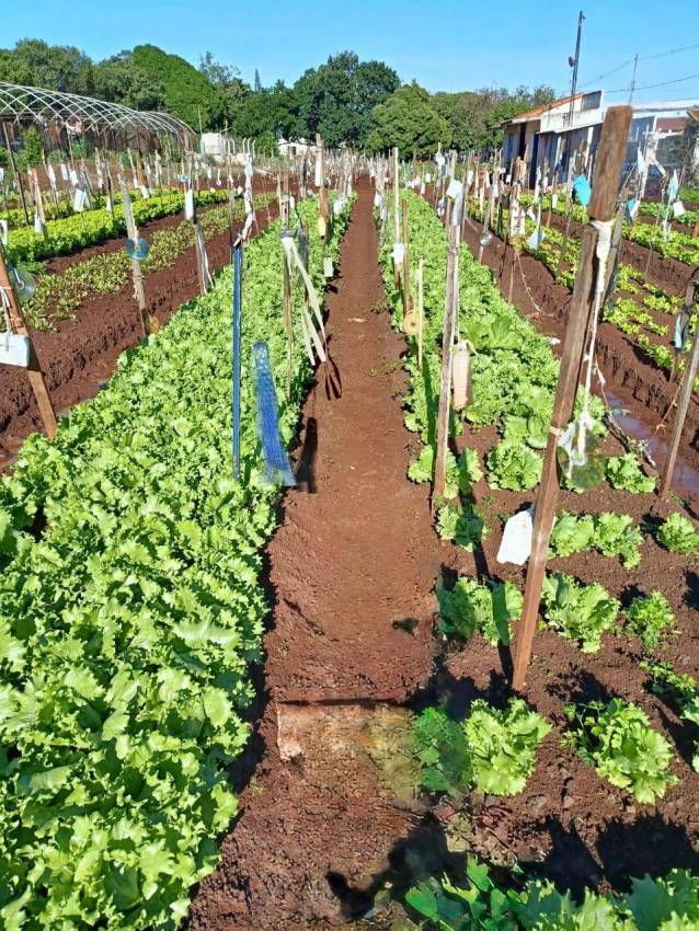 HORTA DO CILA BAUAB E ITAMARATI RECEBEM MELHORIAS