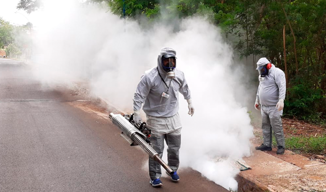 DEDETIZAÇÃO DE GALERIAS: CRONOGRAMA DESTA SEMANA