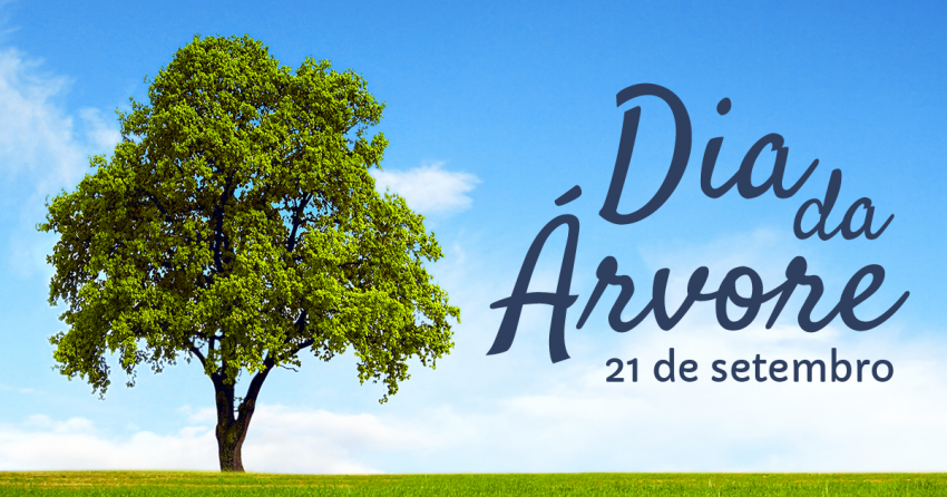 Em comemoração ao dia da árvore, alunos plantam mais de 40 mudas de espécies nativas em avenida da cidade