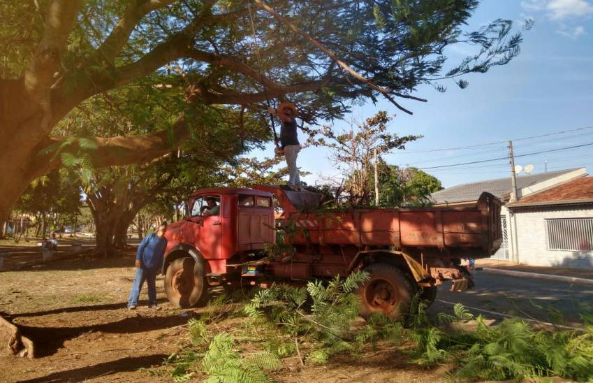 ÁRVORES SÃO PODADAS NA PRAÇA DA OLARIA EM POTUNDUVA