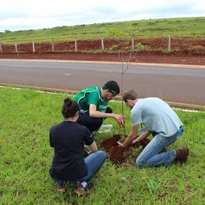 Imagem da notícia Prefeitura realiza plantio de árvores com alunos do curso de medicina