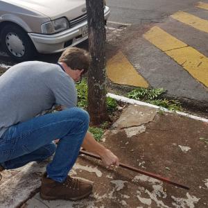 Imagem da notícia Prefeitura realiza serviços de manutenção no lago