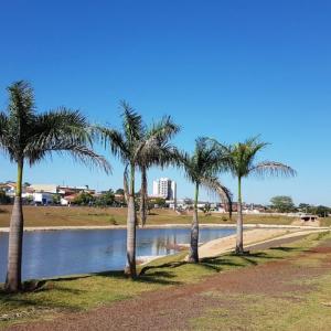 Imagem da notícia Prefeitura realiza serviços de manutenção no lago