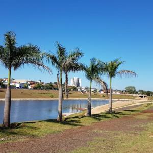Imagem da notícia Prefeitura realiza serviços de manutenção no lago