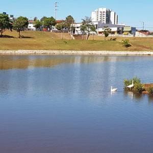 Imagem da notícia Prefeitura realiza serviços de manutenção no lago