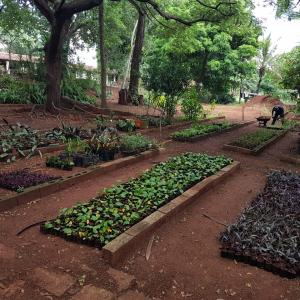 Imagem da notícia JARDIM DE BAIXO PASSA POR REVITALIZAÇÃO PAISAGÍSTICA