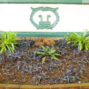 Imagem da notícia JARDIM DE BAIXO PASSA POR REVITALIZAÇÃO PAISAGÍSTICA