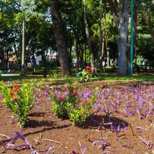 Imagem da notícia JARDIM DE BAIXO PASSA POR REVITALIZAÇÃO PAISAGÍSTICA