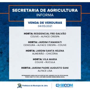 Imagem da notícia HORTAS MUNICIPAIS