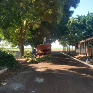 Imagem da notícia VILA RIBEIRO PASSA POR MUTIRÃO DE LIMPEZA
