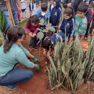 Imagem da notícia CRIANÇAS PLANTAM ÁRVORE EM ESCOLA DE POTUNDUVA