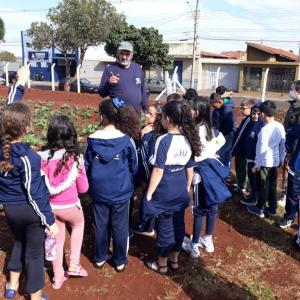 Imagem da notícia ESTUDANTES VISITAM HORTA NO JARDIM ITAMARATI
