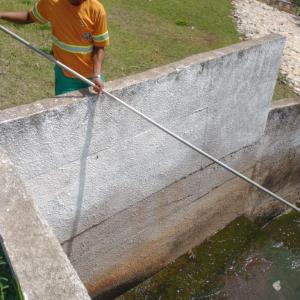 Imagem da notícia MARGENS DO LAGO DO SILVÉRIO PASSAM POR LIMPEZA