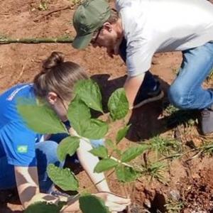 Imagem da notícia APP DO RIO JAÚ RECEBE 50 MUDAS DE ÁRVORES