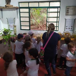Imagem da notícia CRIANÇAS DA EDUCAÇÃO INFANTIL VISITAM O HORTO