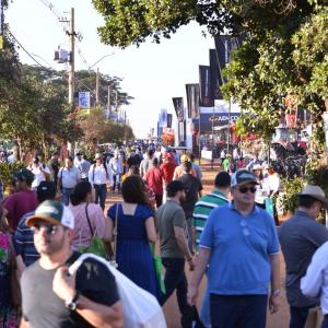 Imagem da notícia PREFEITURA LEVA PEQUENOS PRODUTORES RURAIS À AGRISHOW