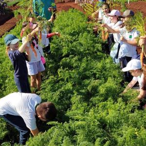 Imagem da notícia HORTA DO JARDIM ITAMARATI RECEBE VISITA DE ESTUDANTES