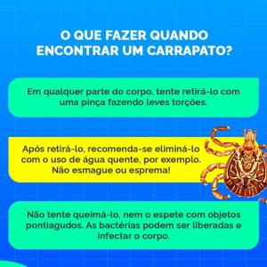 Imagem da notícia ORIENTAÇÕES SOBRE FEBRE MACULOSA