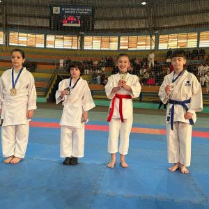 Imagem da notícia CAMPEONATO JAUENSE DE KARATÊ HOMENAGEIA GRANDES NOMES DO ESPORTE