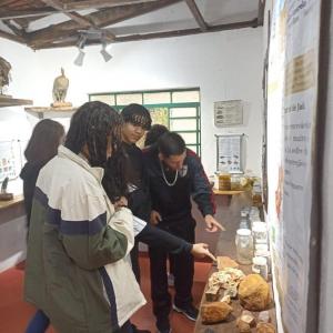 Imagem da notícia ESTUDANTES DA ESCOLA PROF. DR. BENEDICTO MONTENEGRO VISITAM O HORTO