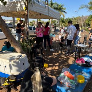 Imagem da notícia NOVE CÃES ENCONTRAM TUTOR AMIGO DURANTE FEIRA DE ADOÇÃO