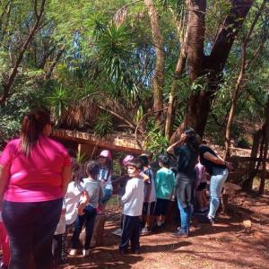 Imagem da notícia CRIANÇAS DA EDUCAÇÃO INFANTIL VISITAM HORTO MUNICIPAL