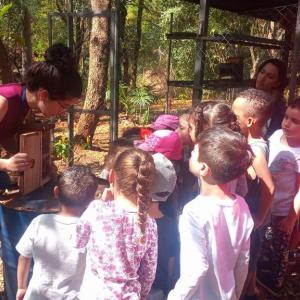 Imagem da notícia CRIANÇAS DA EDUCAÇÃO INFANTIL VISITAM HORTO MUNICIPAL