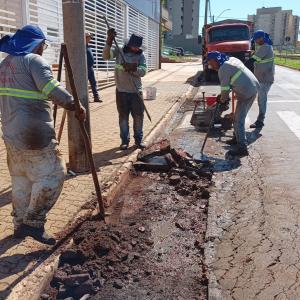 Imagem da notícia PREFEITURA INSTALA FAIXAS ELEVADAS EM AVENIDAS DA CIDADE