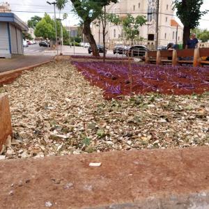 Imagem da notícia MATERIAL ORGÂNICO É USADO EM CANTEIRO NA PRAÇA DA MATRIZ