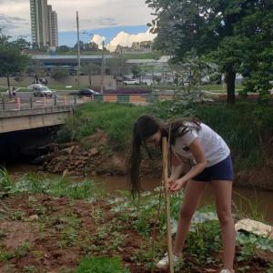 Imagem da notícia MUDAS DE ÁRVORES NATIVAS SÃO PLANTADAS À MARGEM DO RIO JAÚ