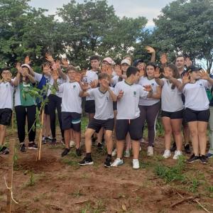 Imagem da notícia MUDAS DE ÁRVORES NATIVAS SÃO PLANTADAS À MARGEM DO RIO JAÚ