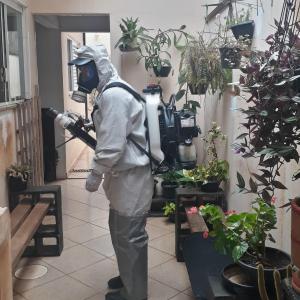 Imagem da notícia E A NEBULIZAÇÃO CONTRA A DENGUE?
