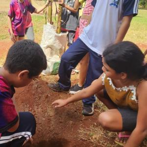 Imagem da notícia ALUNOS DA EMEF PROF. ANTÔNIO WALDOMIRO DE OLIVEIRA REALIZAM ATIVIDADE PRÁTICA